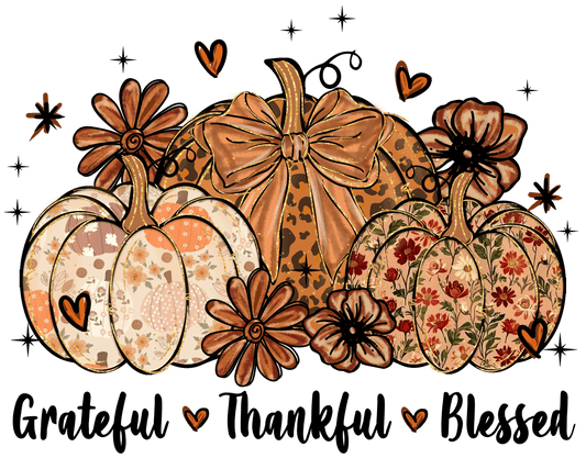 THANKSGIVING INSPIRED T-SHIRTS